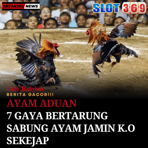 Ayam Aduan: 7 Gaya Bertarung Sabung Ayam Jamin K.O Sekejap